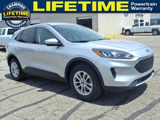 2020 Ford Escape for sale in Fowlerville MI