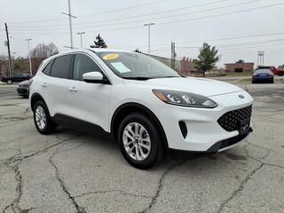 2020 Ford Escape for sale in Lafayette IN
