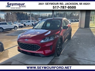 2022 Ford Escape for sale in Jackson MI