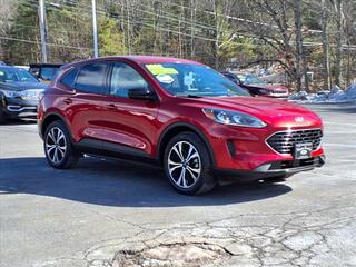 2022 Ford Escape for sale in Honesdale PA