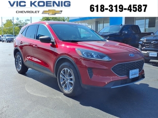 2022 Ford Escape for sale in Carbondale IL