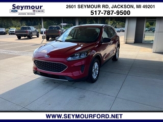 2022 Ford Escape for sale in Jackson MI