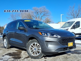 2022 Ford Escape for sale in Carol Stream IL
