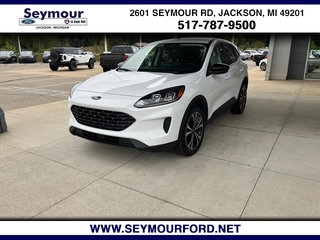 2022 Ford Escape for sale in Jackson MI