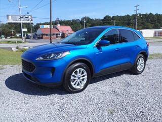 2020 Ford Escape for sale in Hartselle AL