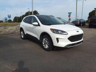 2020 Ford Escape for sale in Plymouth MI