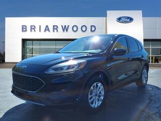 2020 Ford Escape for sale in Saline MI