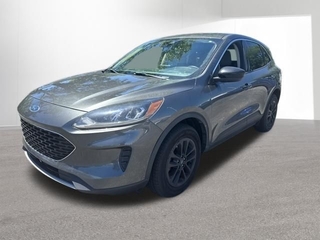 2020 Ford Escape for sale in Indianapolis IN