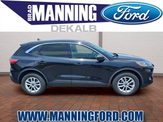 2022 Ford Escape for sale in Des Plaines IL
