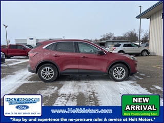 2022 Ford Escape for sale in Cokato MN
