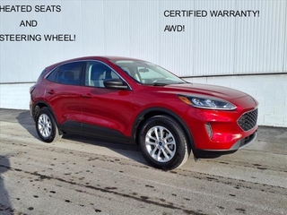 2022 Ford Escape for sale in Monroe MI