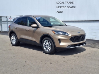 2020 Ford Escape for sale in Monroe MI