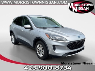 2020 Ford Escape for sale in Morristown TN