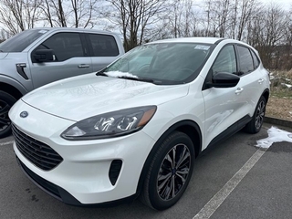 2021 Ford Escape for sale in Greeneville TN