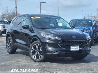2022 Ford Escape for sale in Carol Stream IL
