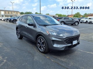 2022 Ford Escape for sale in Carol Stream IL