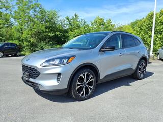 2022 Ford Escape for sale in Kingsport TN