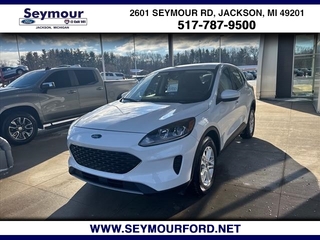 2020 Ford Escape for sale in Jackson MI