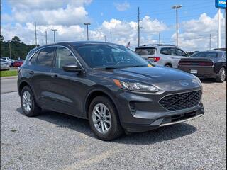 2020 Ford Escape for sale in Cleveland TN