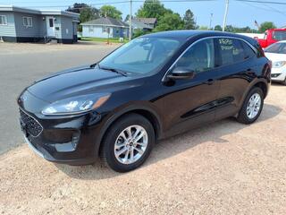2020 Ford Escape for sale in Rice Lake WI