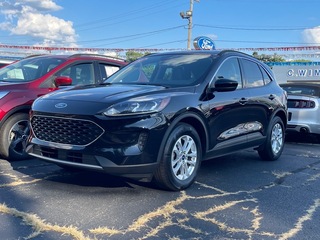 2020 Ford Escape for sale in Dowagiac MI