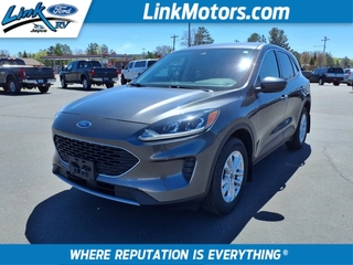 2020 Ford Escape for sale in Minong WI