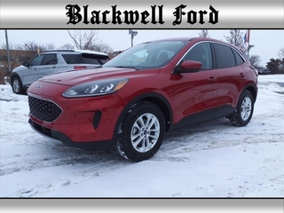 2020 Ford Escape for sale in Plymouth MI