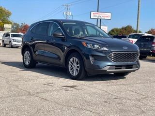 2022 Ford Escape for sale in Chelsea MI