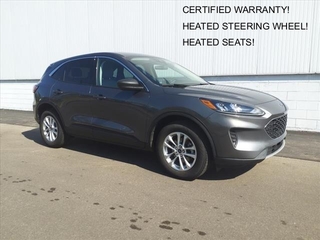 2022 Ford Escape for sale in Monroe MI