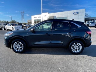 2022 Ford Escape for sale in Dandridge TN