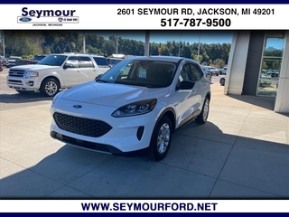 2022 Ford Escape for sale in Jackson MI