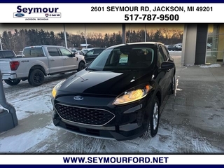 2022 Ford Escape for sale in Jackson MI