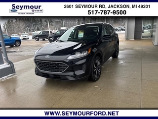 2022 Ford Escape for sale in Jackson MI