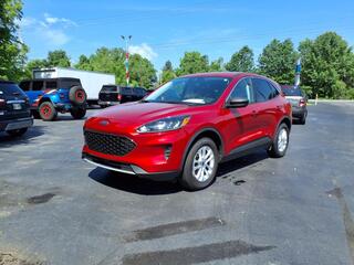 2022 Ford Escape for sale in Cortland OH