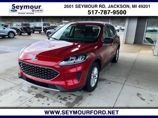 2022 Ford Escape for sale in Jackson MI