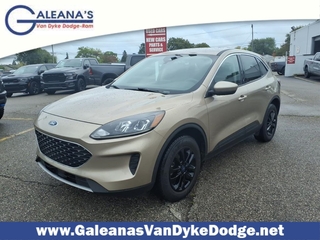 2020 Ford Escape for sale in Warren MI