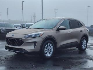 2020 Ford Escape for sale in Howell MI