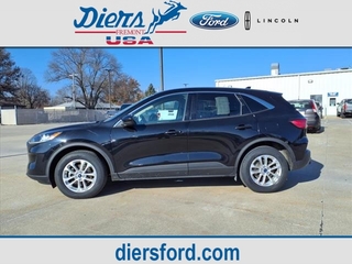 2020 Ford Escape for sale in Fremont NE