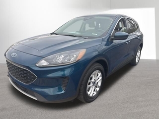 2020 Ford Escape for sale in Indianapolis IN