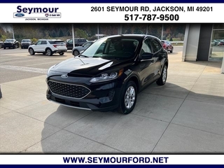 2022 Ford Escape for sale in Jackson MI