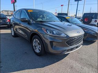 2020 Ford Escape for sale in Bowling Green KY