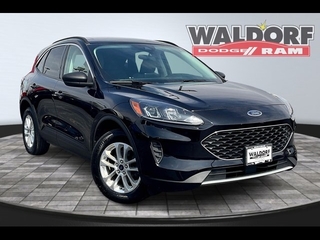 2022 Ford Escape for sale in Anderson SC