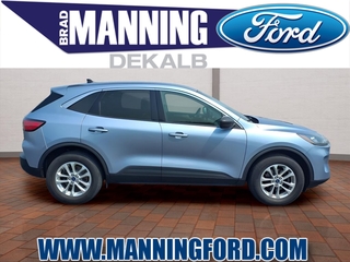 2022 Ford Escape for sale in Des Plaines IL
