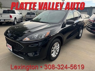 2022 Ford Escape for sale in Lexington NE