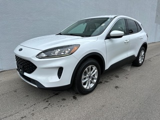 2020 Ford Escape for sale in Indianapolis IN