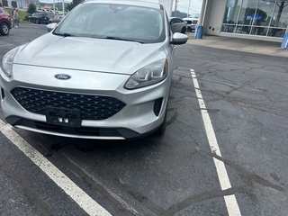 2020 Ford Escape for sale in Johnson City TN