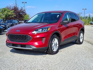2022 Ford Escape for sale in Louisville KY