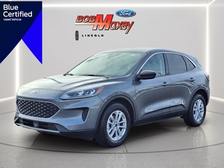 2022 Ford Escape for sale in Howell MI