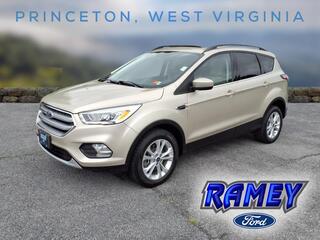 2017 Ford Escape for sale in Princeton WV