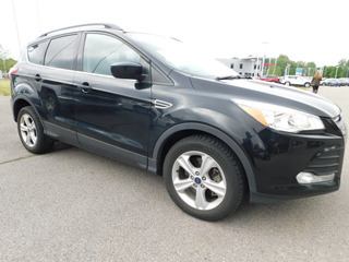 2015 Ford Escape for sale in Clarksville TN